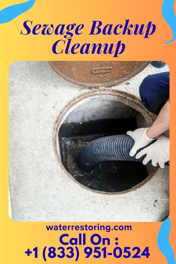 Sewage Backup Cleanup in Hillsboro, IA